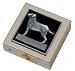 Black Labrador Retriever Small Vitamin Case