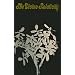 The Divine Relativity: A Social Conception of God (The Terry Lectures Series)