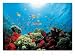 Aquarium - Federico Busonero Art Print Poster - 32 x 24
