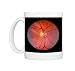 Camera Optics
41mla0TizKL. SL75 Camera Optics