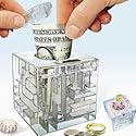 Money Maze Bank Puzzle