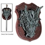 Dragon Head Plaque