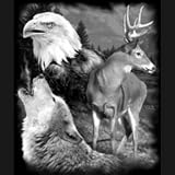 North American Wildlife Men's Long-Sleeve T-Shirt : Eagle Deer Wolf