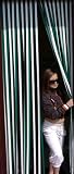 Heavy Duty Bug Blind,Fly Blind,Strip Blind, Door Blind-GREEN & WHITE