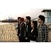 Paramore Punk Alternative Rock Band 24X36 Poster Poster Print, 36x24 Poster Print, 36x24