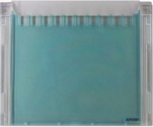 ACTGene DirectLoad Precast Polyacrylamide Gel, 10-250kDa 10X10 cm 15wl (Pack of 10)