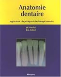 Anatomie dentaire : Application � la pratique de la chirurgie dentaire
