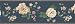 Brewster 418B241 Borders and More Open Floral Trail Wall Border, 9-Inch by 180-Inch Brewster 418B241 Borders and More Open Floral Trail Wall Border, 9-Inch by 180-Inch