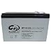 PlusGain(�v���X�Q�C��) ���T�p�o�b�e���[ 12A PG-12A12V