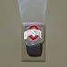 Ohio State Buckeyes LED Night Light