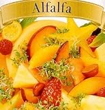 Alfalfa Mix Sprouting Seeds 4 Ounces - B000SAGNJE