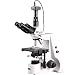 AmScope 40X-2500X Infinity Kohler Siedentopf Biological Compound Microscope + 5MP Camera