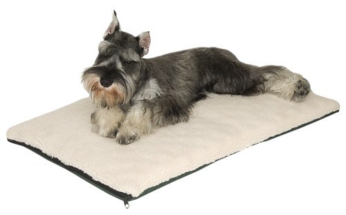 Childrens Toyshop  Pet Supplies : K&H Ortho Thermo-Bed, Medium, Blue