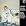 C.P.E. Bach: Trio Sonatas