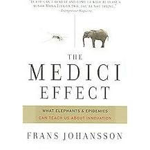 Medici Effect (What You Can Learn from Elephants and Epidemics) (Paperback)
