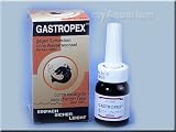 Eigenschaften esha  / eSHa Gastropex 20 ml