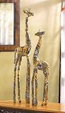 Proud Giraffes