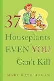 37 Houseplants Even You Can t Kill
