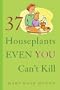 37 Houseplants Even You Can't Kill