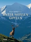 Unter wei�en Gipfeln: Pirsch im Bergrevier