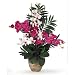 Nearly Natural Double Phal/Dendrobium Silk Flower Arrangement
