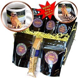 Dogs Golden Retriever - Golden Retriever - Coffee Gift Baskets - Coffee Gift Basket by 3dRose LLC