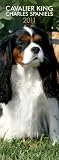 \"Cavalier