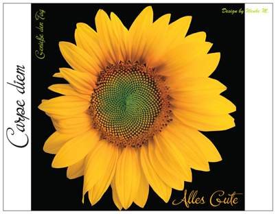 Sprüchekarte Sprüche Spruch Sonnenblume