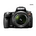 Sony Alpha SLTA33L DSLR with Translucent Mirror Technology and 3D Sweep Panorama (Black)