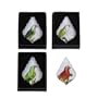 Crystal Chandelier Drop Shape Set of 4 Magnets with Birds