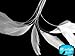 Moonlight Feather | 1 Dozen - Bleached White Stripped Rooster Coque Tail Feathers Craft Costume Supply