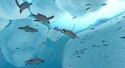Endless Ocean: Blue World