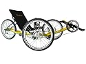 TerraTrike Path 8 Recumbent Trike