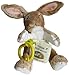Kids Preferred Nutbrown Hare Book Buddy thumb
