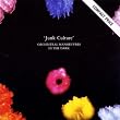 Junk Culture