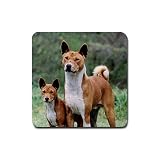Basenji Rubber Square Coaster (4 pack)