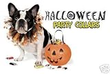 Pumpkin Dog Halloween Collar Size Medium-12