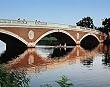 Sculling, Charles River, Boston Photograph - Beautiful 16"x20" Photographic Print by Carol M. Highsmith