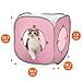 Kitty Play Cube (pastel pink)Sturdy#The best cat toy