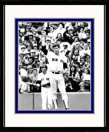 Option #6: Boston Red Sox Carl Yastrzemski 