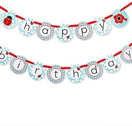 Ladybug Party Banner