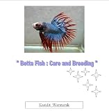 What You Need To Know About A Betta Fish Tank 41moMeFl%2B4L. SL160 What You Need To Know About A Betta Fish Tank