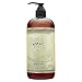 WEN� Sweet Almond Mint Cleansing Conditioner 16oz