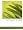 alkoholgehalt.com - Die Chemie des Chlorophylls