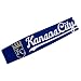 Kansas City Royals FanBand Headband