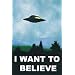 X-Files - I Want to Believe - Maxi Poster - 61 cm x 91.5 cm
