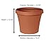 Bloem Terra Pot Planter: 14