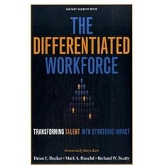 The Differentiated Workforce: What Top Executives Must Know to Go from Pain to Gain