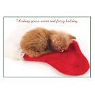 Kitten on a Red Stocking Boxed Holiday Cards by  Sellers Publishing