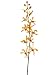 Faux 33 Decor Mokara Orchid Spray Yellow Beauty (Pack of 12)